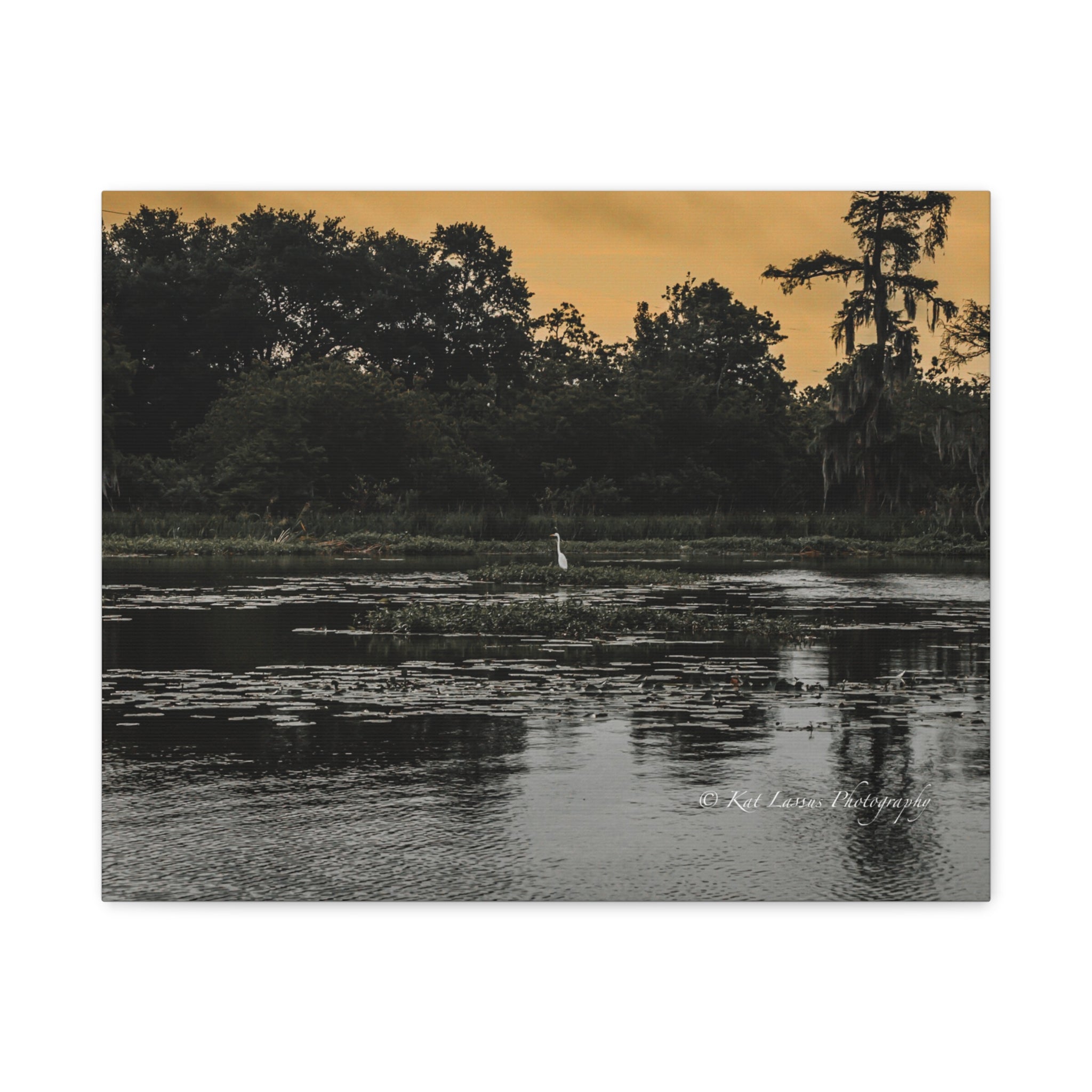 Where the Heron Waits Louisiana bayou photography printed on canvas.