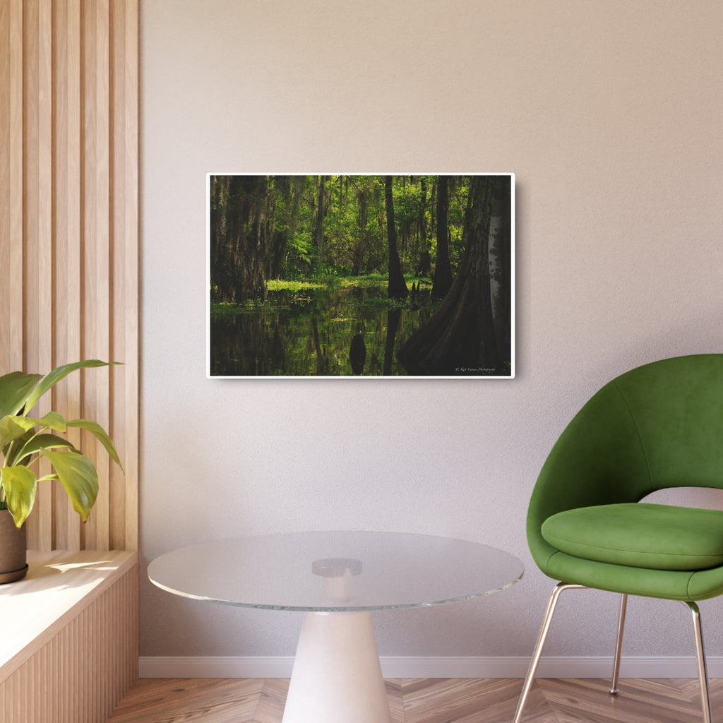 Cathedral of Moss green Louisiana cypress swamp metal print displayed in a modern room.