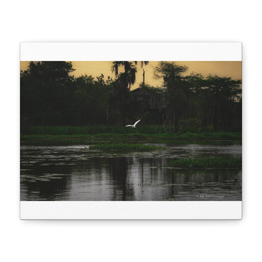 Silent Flight