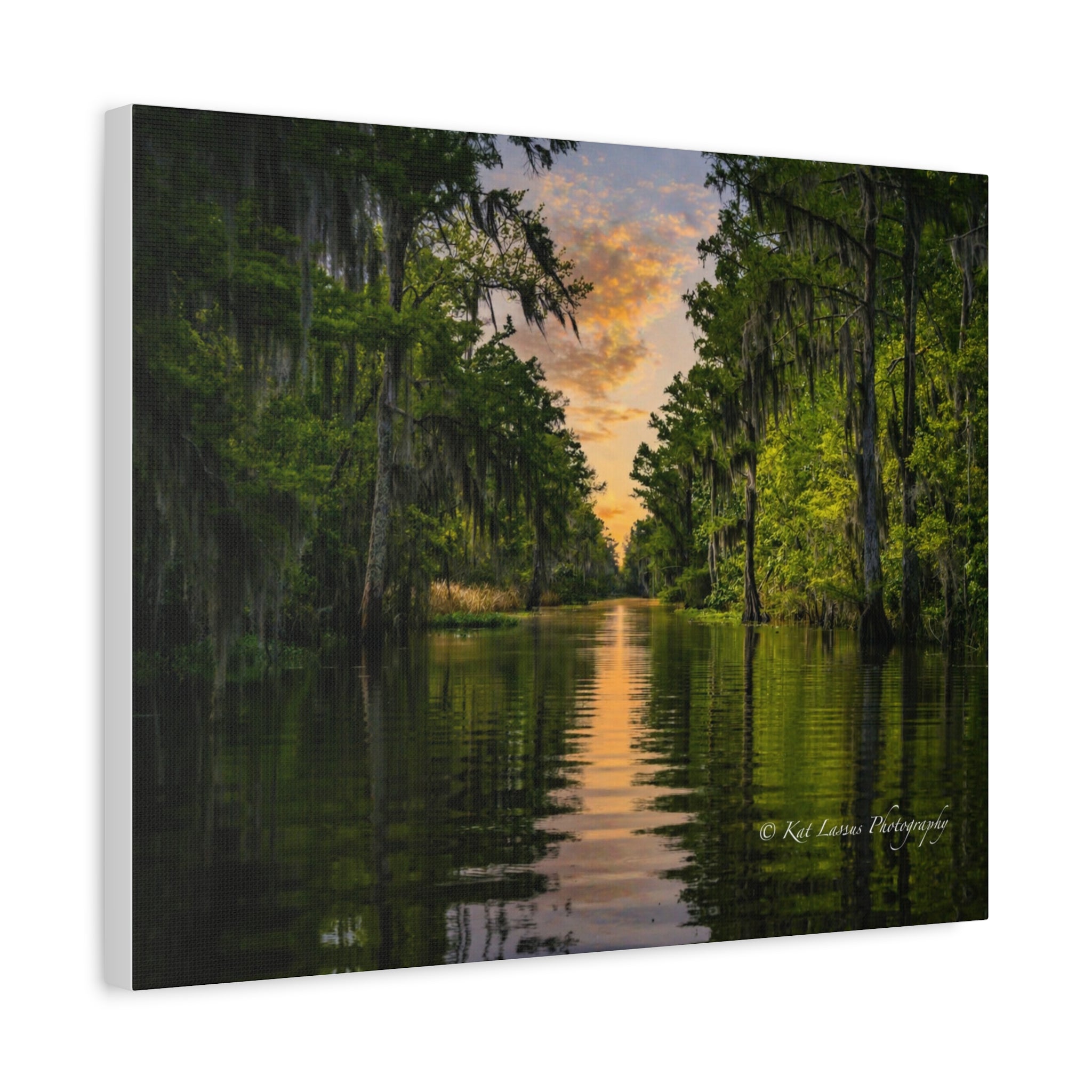 Whispers of the Bayou stretched canvas featuring Louisiana cypress swamp photography.