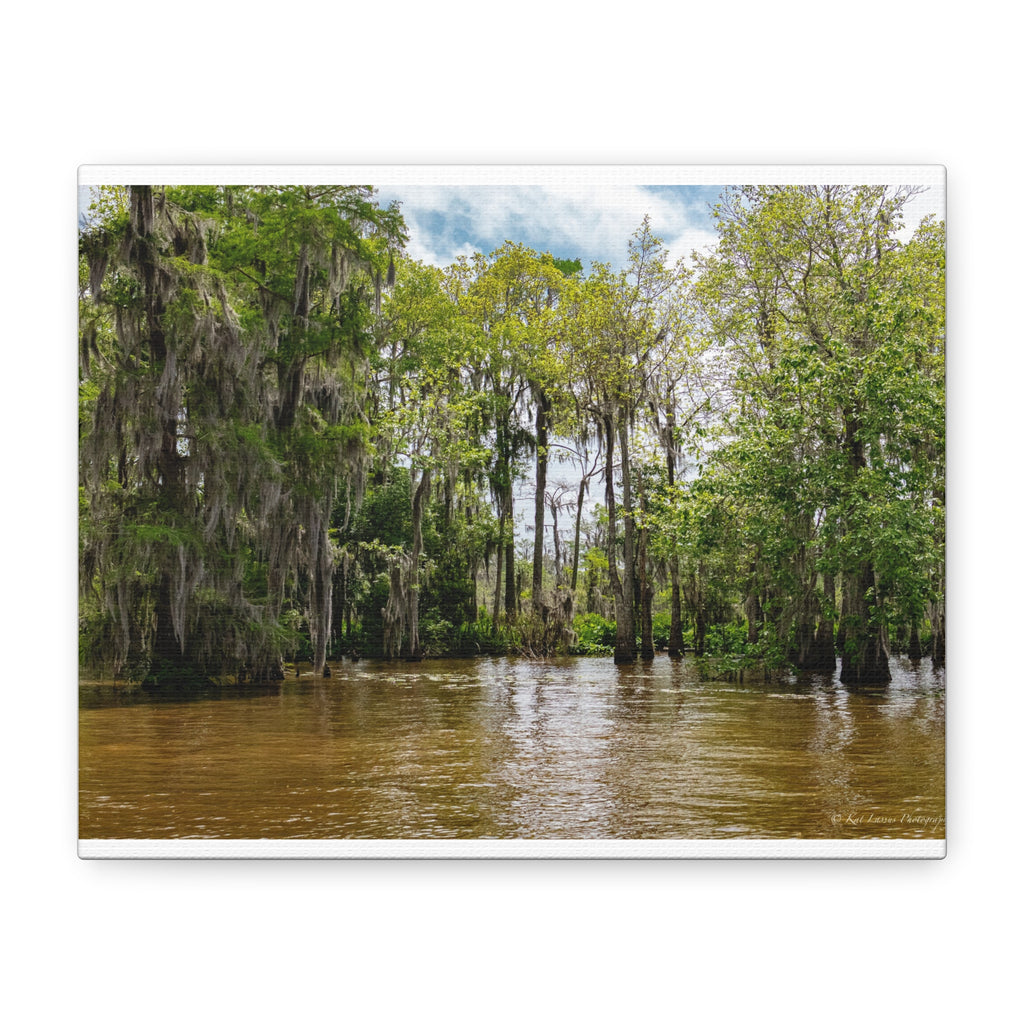 Still Water in the Bayou