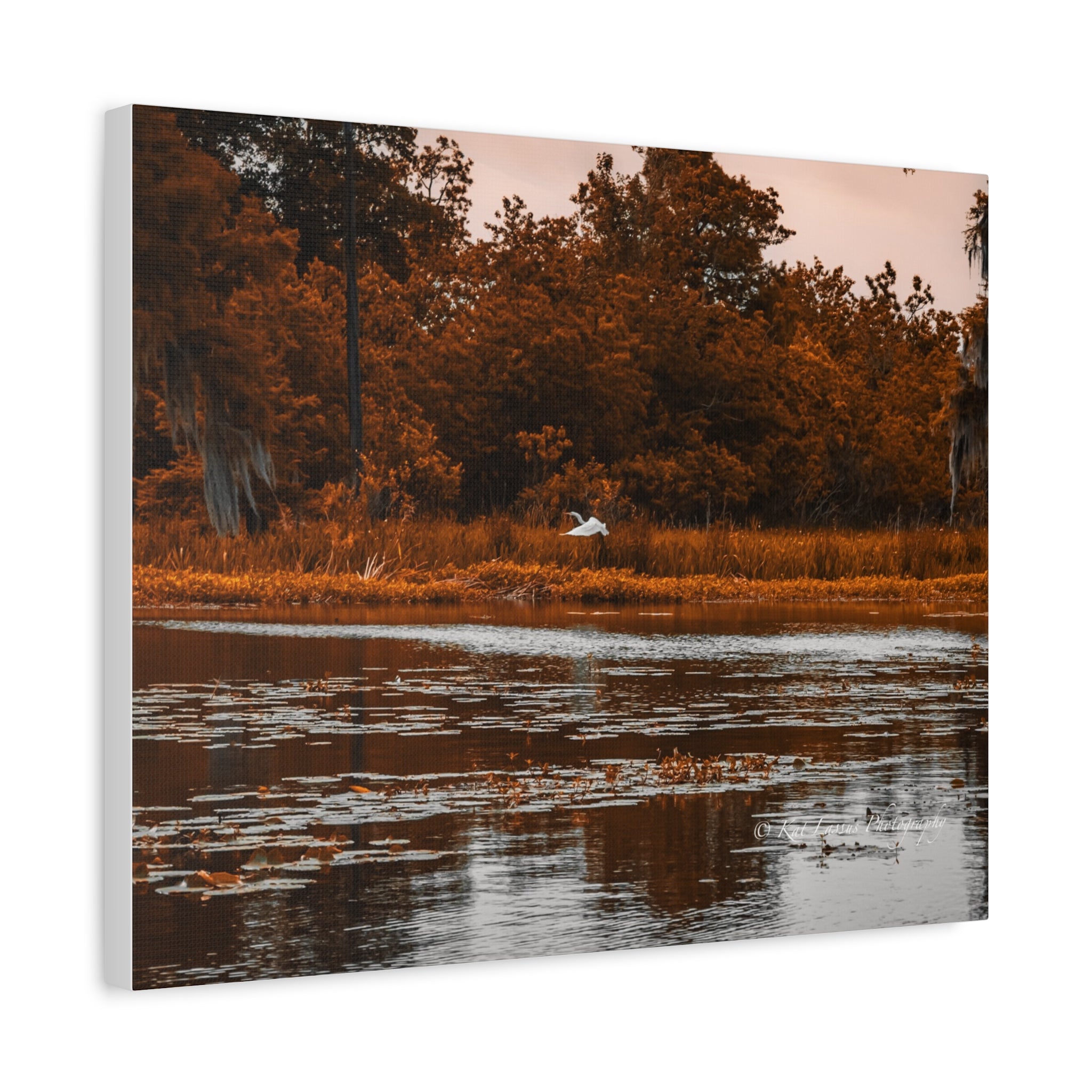 Angled view of Heron in Amber Light canvas print showing the wrapped canvas edge and depth.
