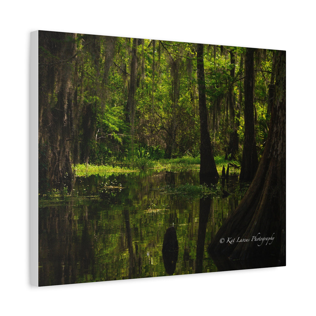 Side view of Cathedral of Moss Louisiana cypress swamp photography on stretched canvas.