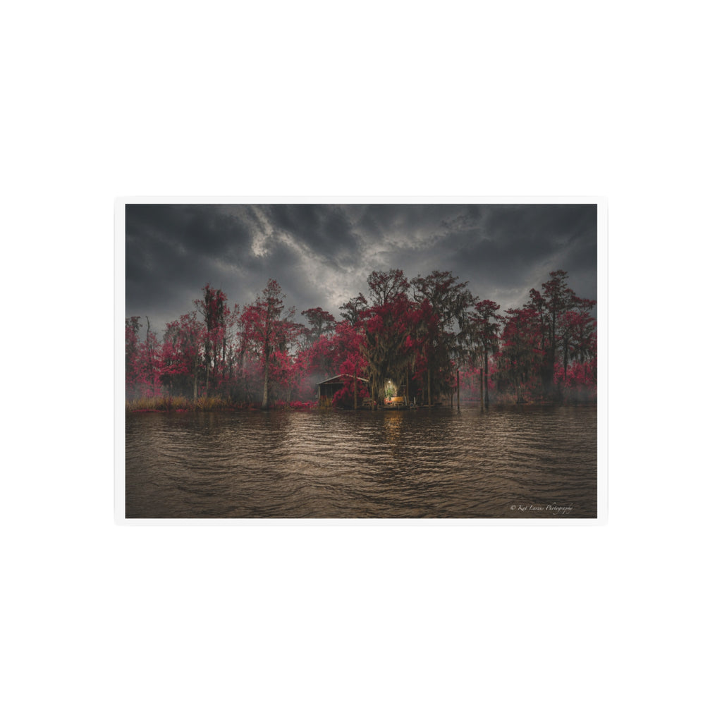 Swamp Sanctuary in Crimson Light