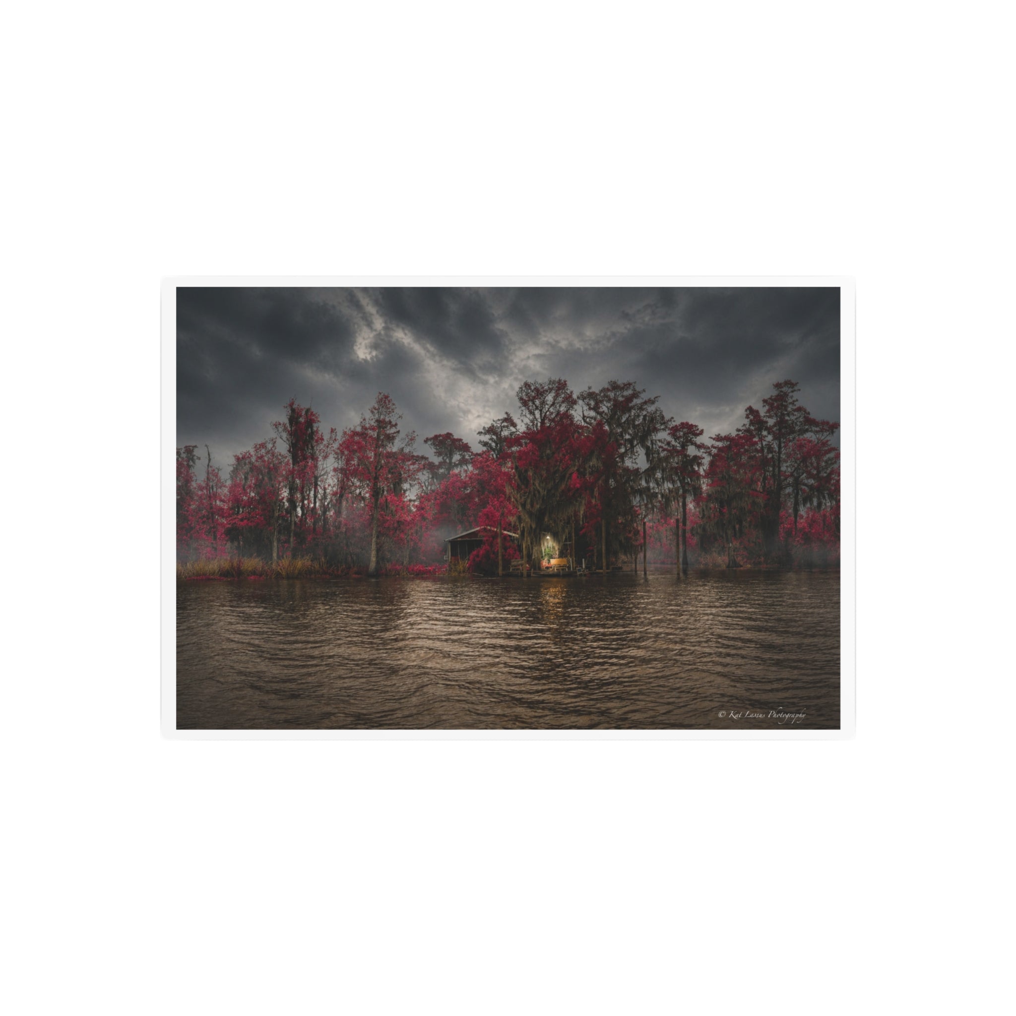 Swamp Sanctuary in Crimson Light