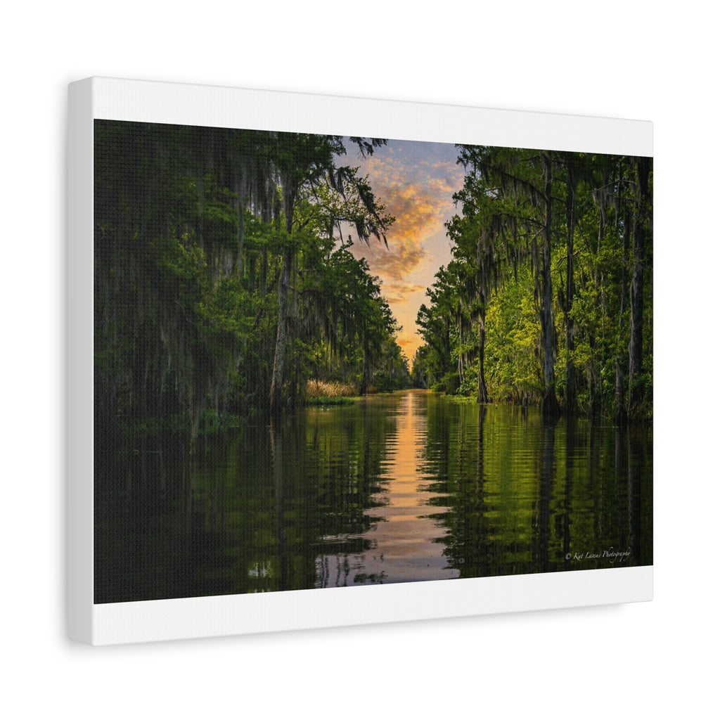Whispers of the Bayou