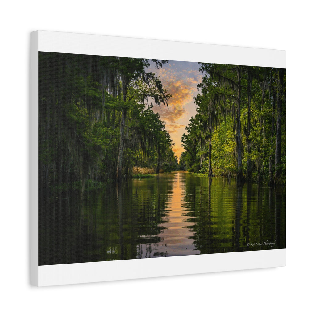 Whispers of the Bayou