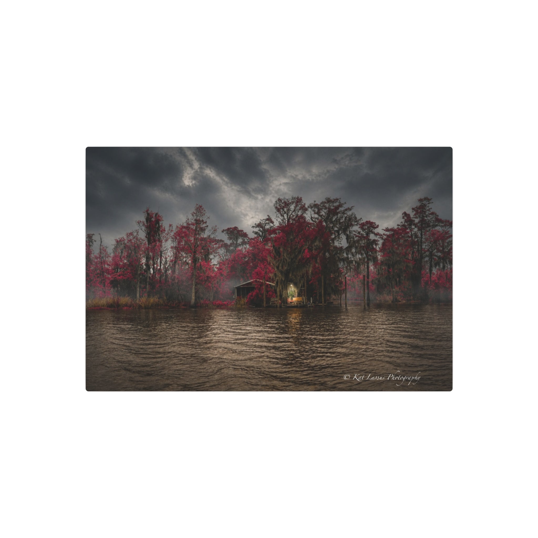 Swamp Sanctuary in Crimson Light Louisiana swamp photography metal wall art.
