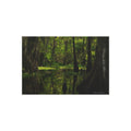 Cathedral of Moss Louisiana cypress swamp photograph printed on metal wall art.