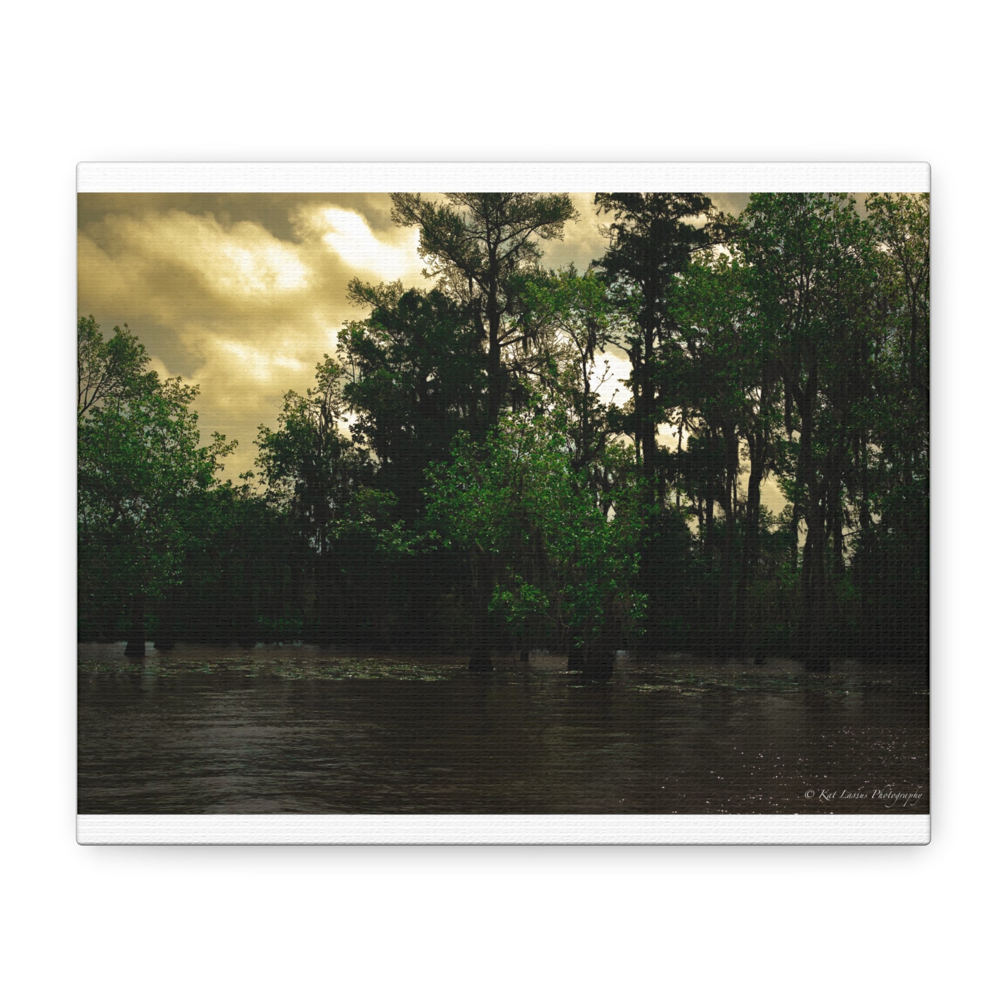 Shadows Over the Bayou