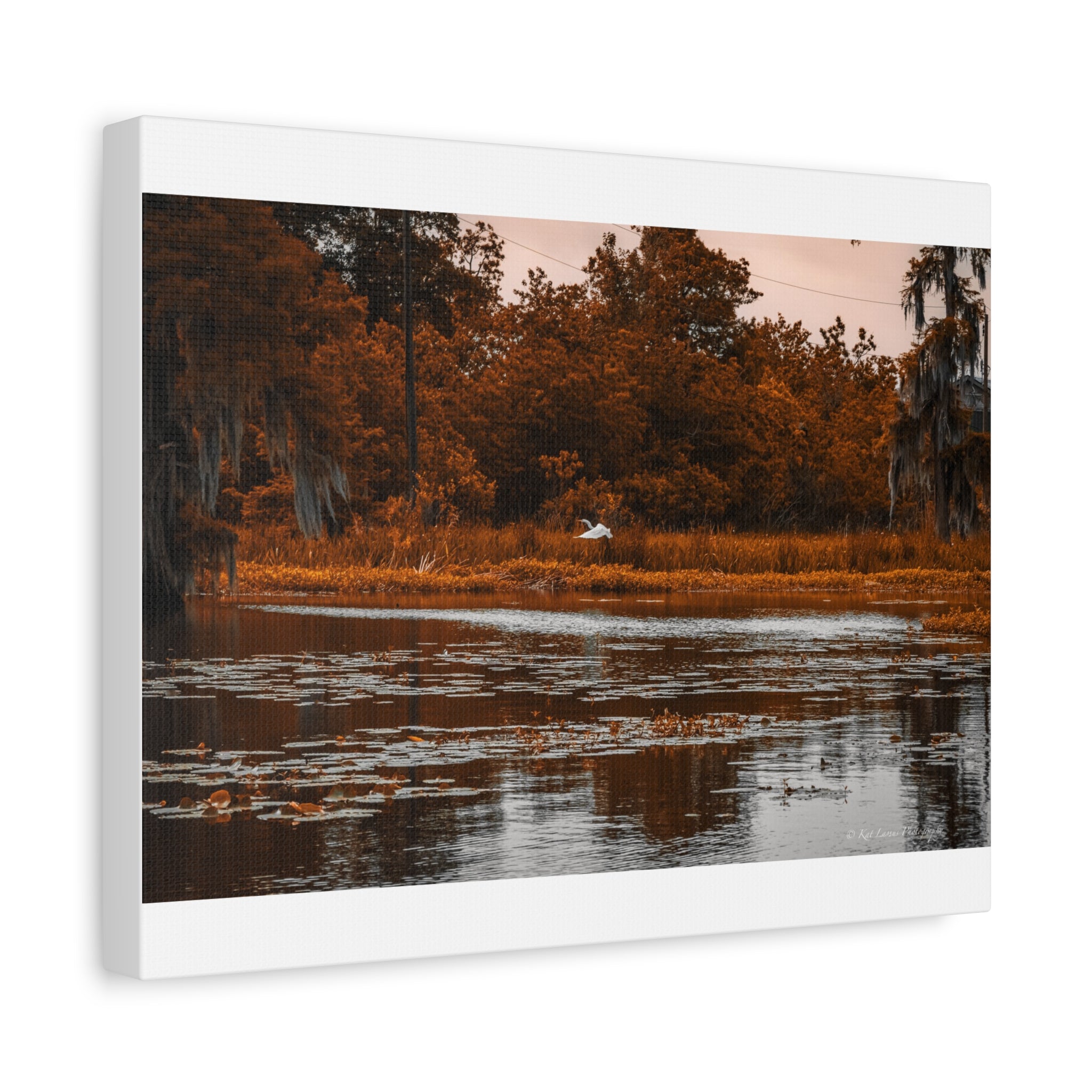 Heron in Amber Light
