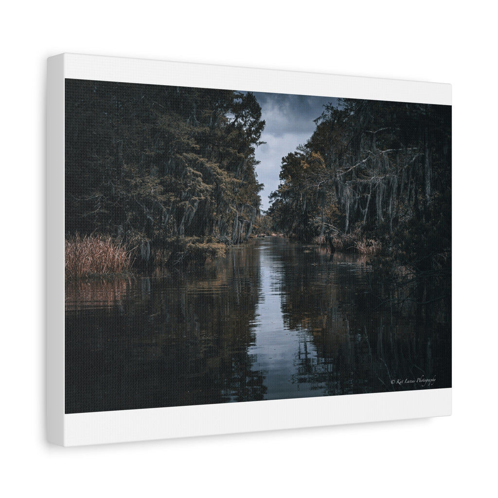 Veil of the Marsh