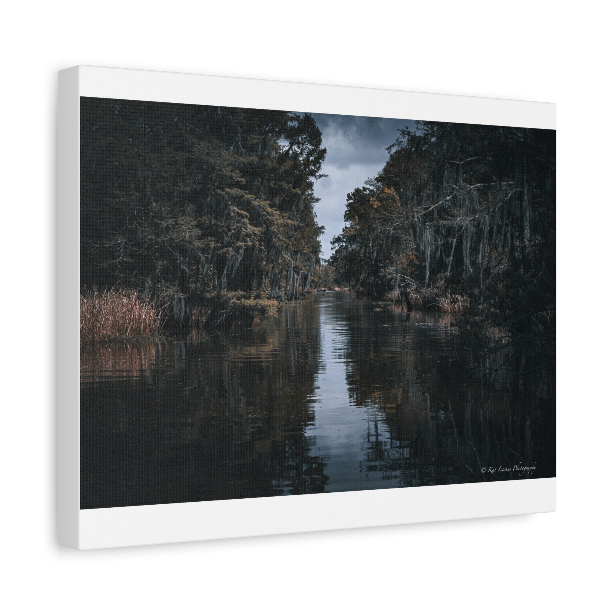 Veil of the Marsh