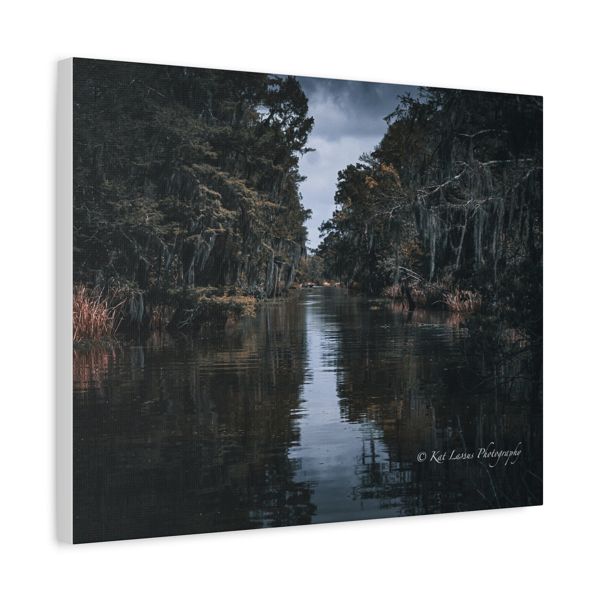 Side view of Veil of the Marsh stretched canvas featuring Louisiana swamp photography.