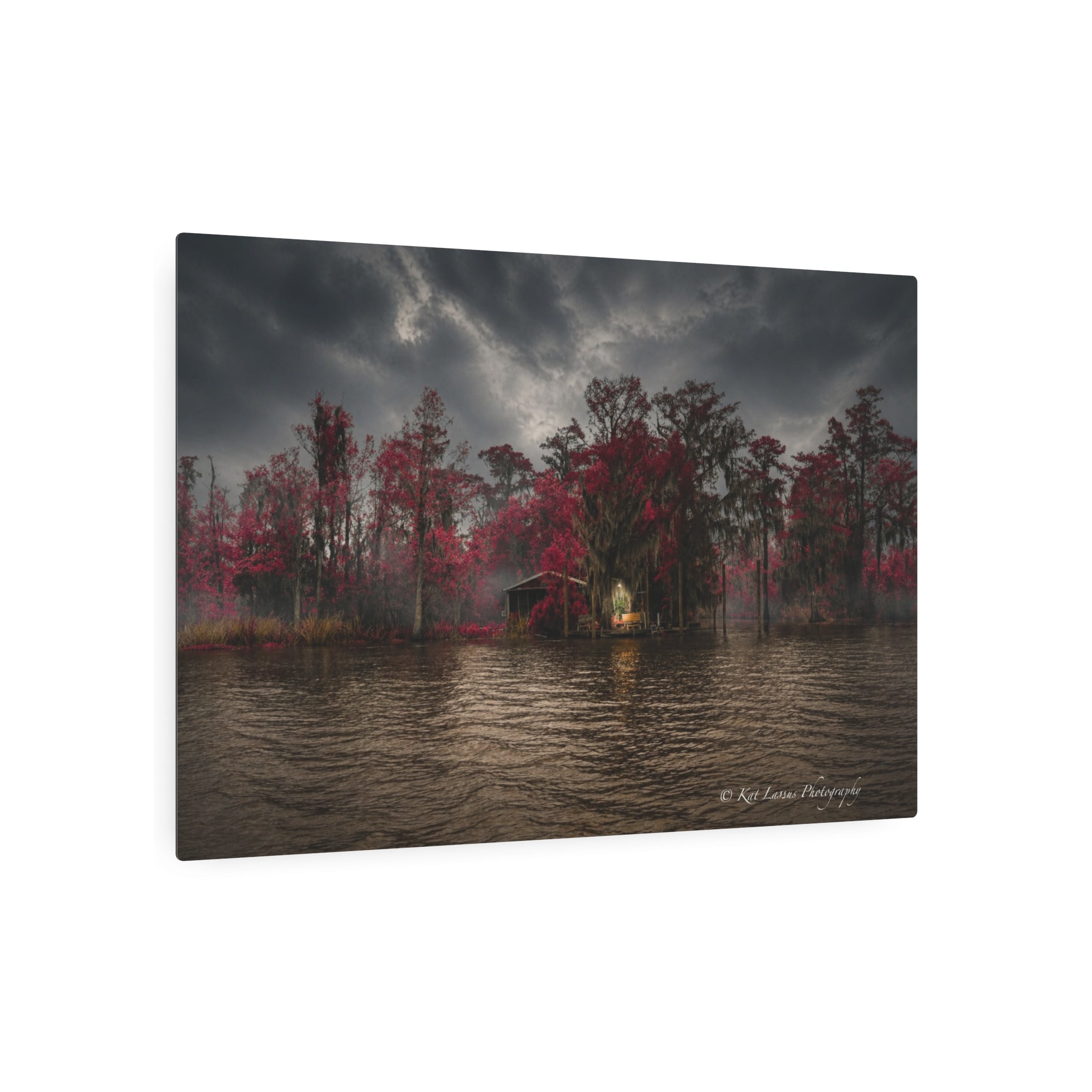 Swamp Sanctuary in Crimson Light metal print showing slim aluminum profile.