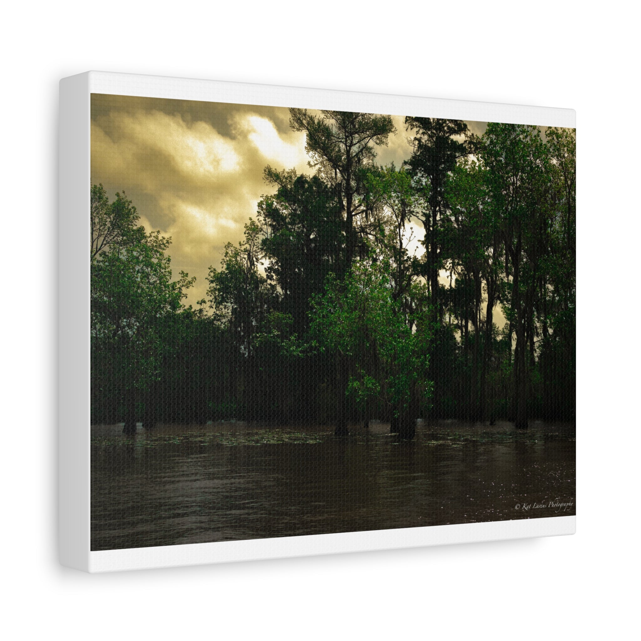 Shadows Over the Bayou