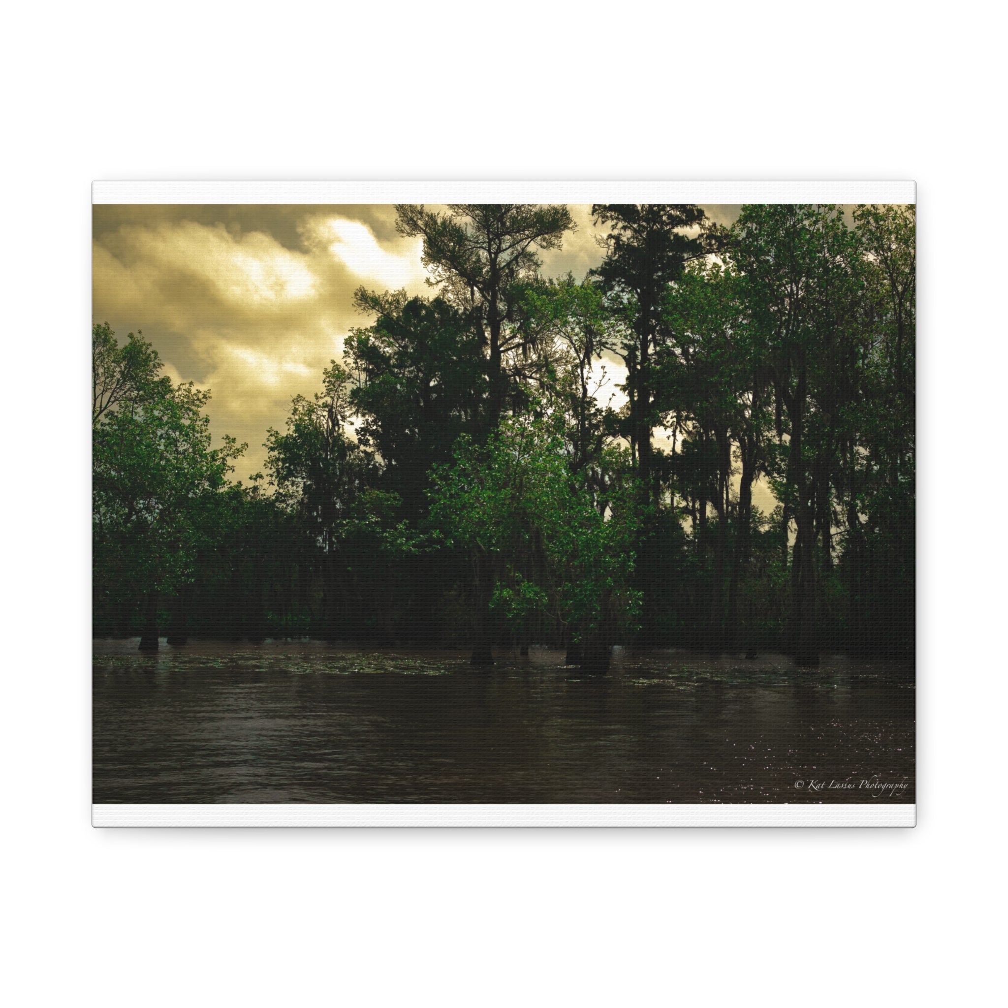 Shadows Over the Bayou