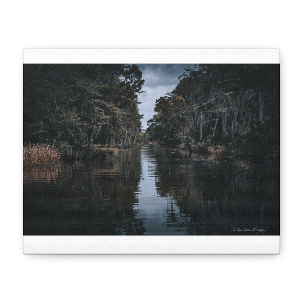 Veil of the Marsh