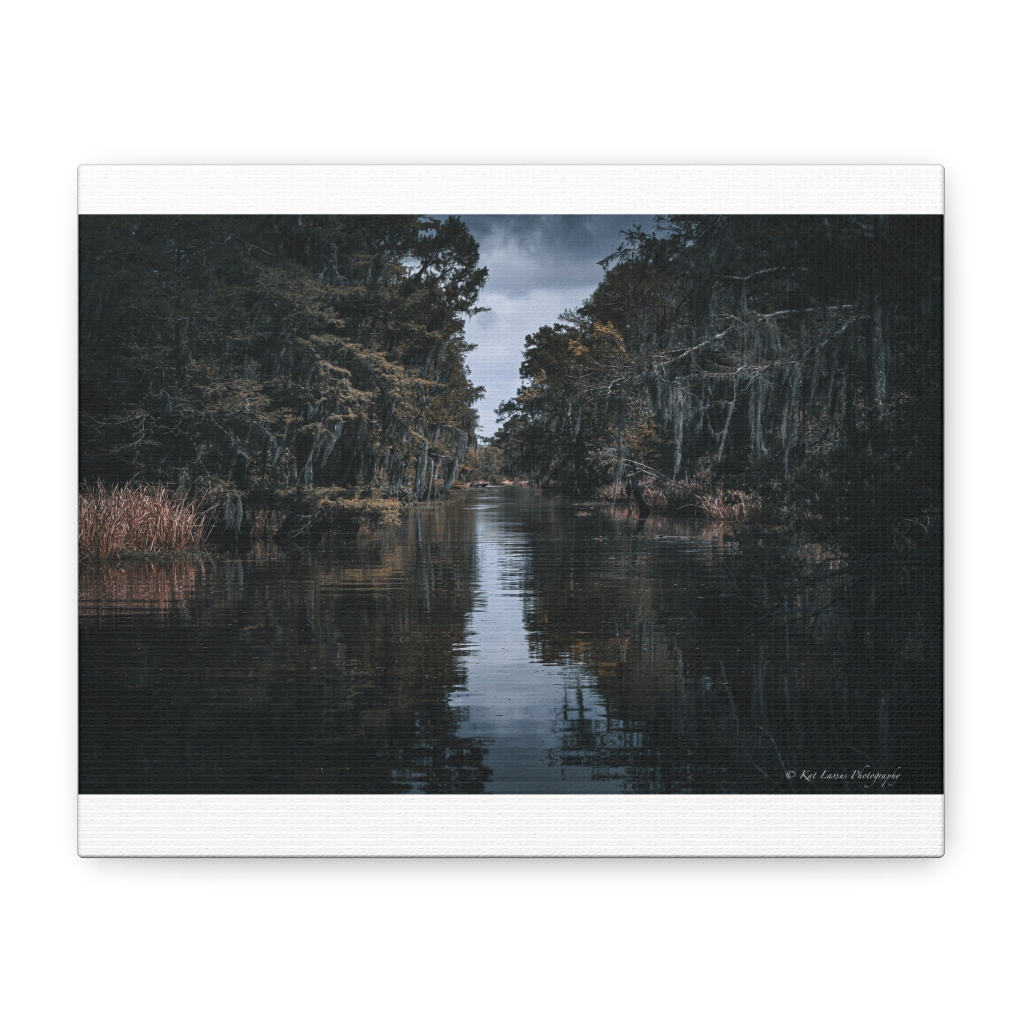 Veil of the Marsh