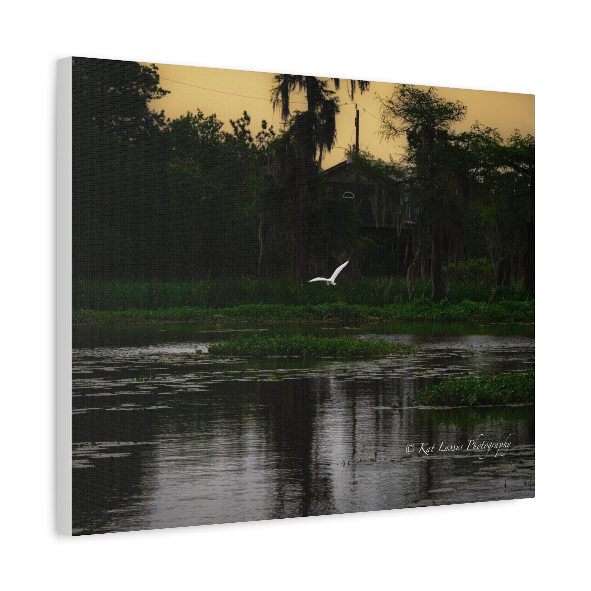 Silent Flight fine art Louisiana bayou canvas shown from an angled side view.