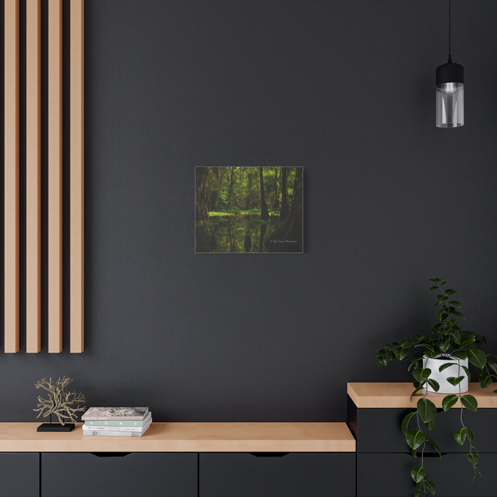 Cathedral of Moss Louisiana cypress swamp canvas displayed as moody green wall art in a dark modern interior.