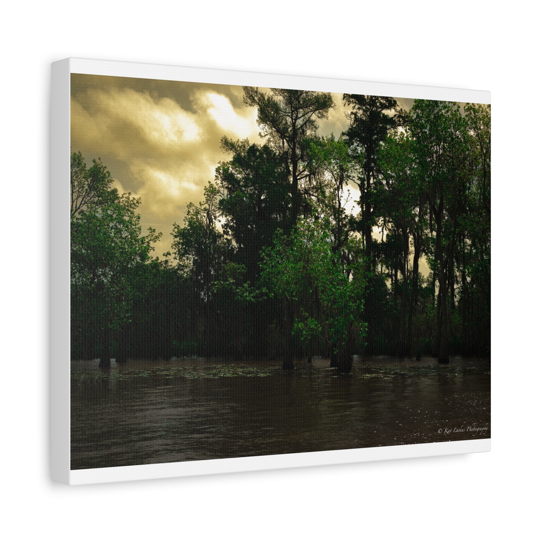 Shadows Over the Bayou