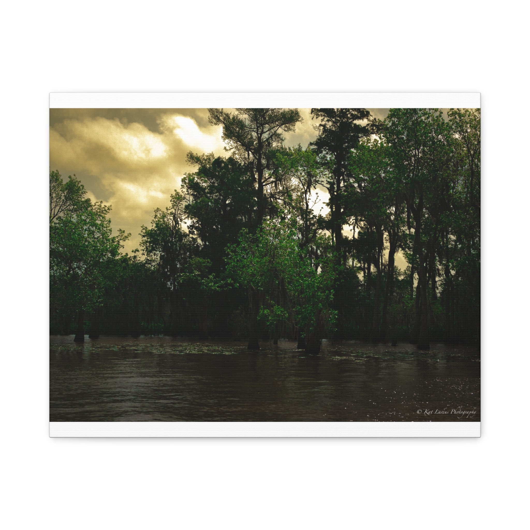 Shadows Over the Bayou