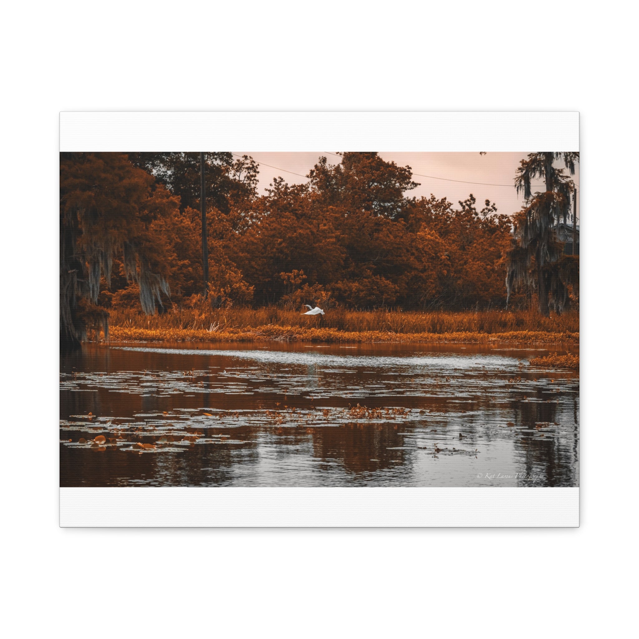 Heron in Amber Light