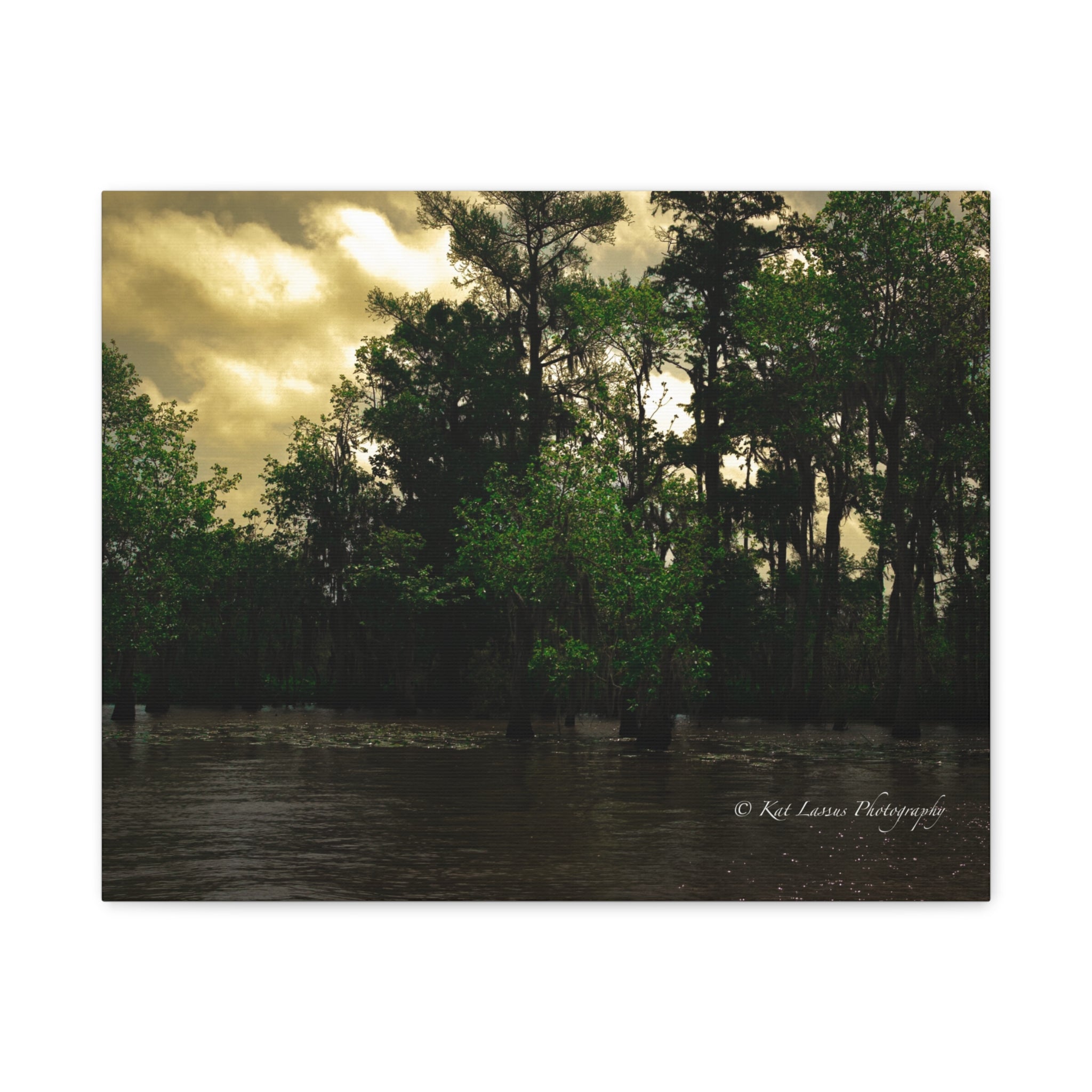 Shadows Over the Bayou Louisiana landscape photography printed on stretched canvas, front view.