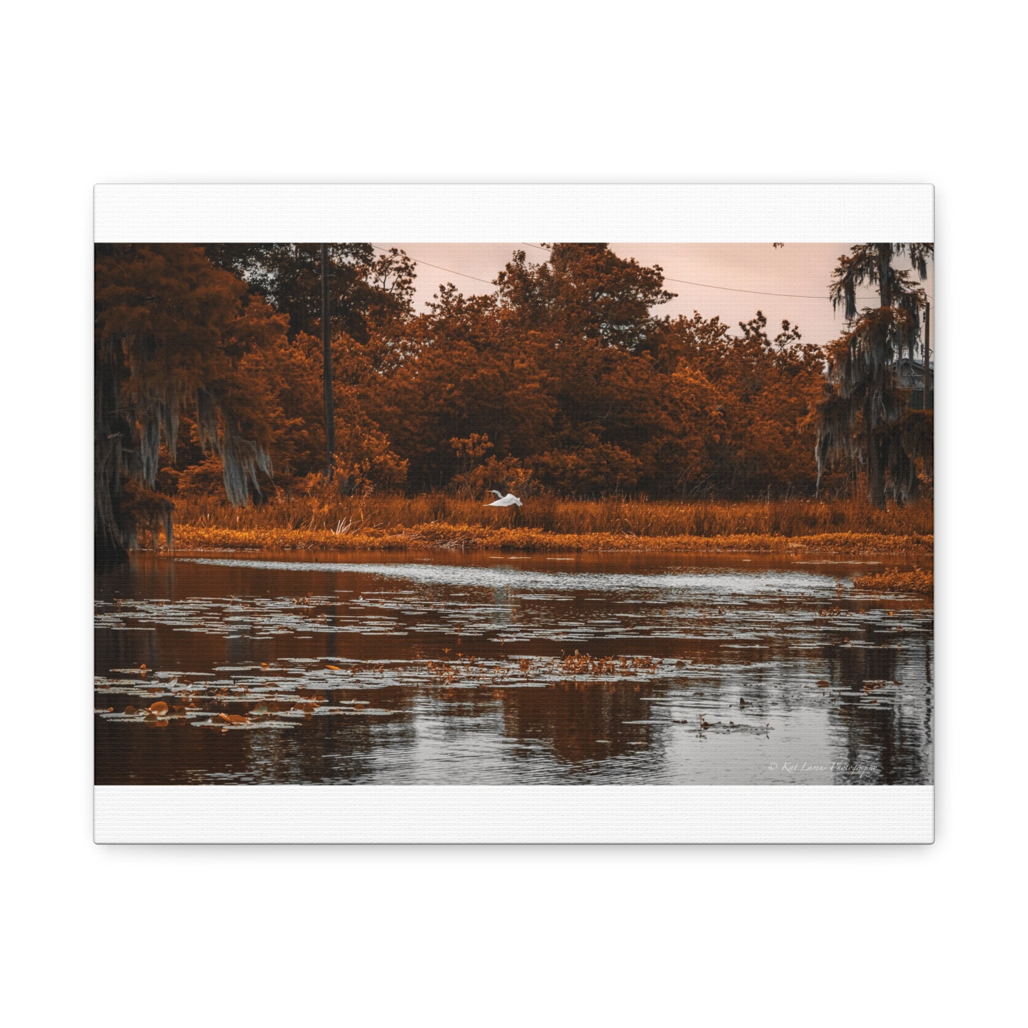 Heron in Amber Light