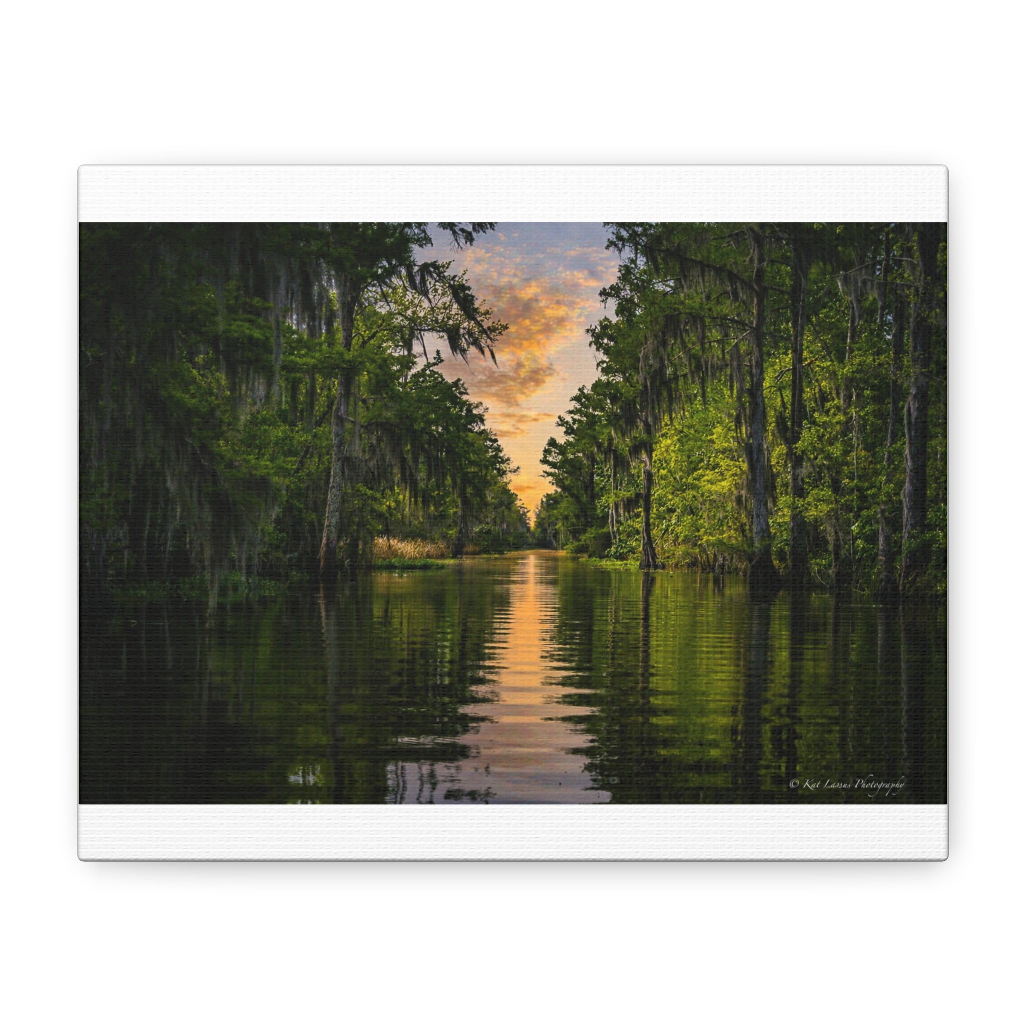 Whispers of the Bayou