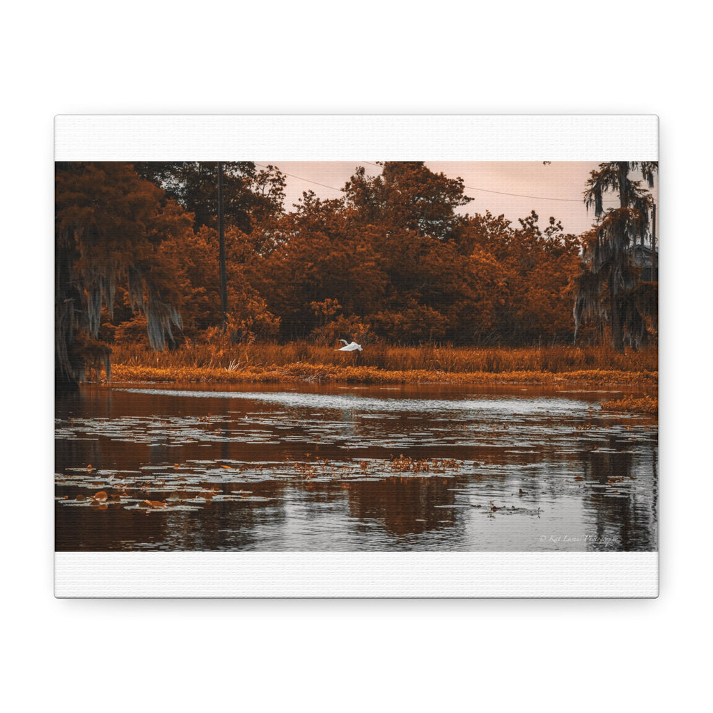 Heron in Amber Light