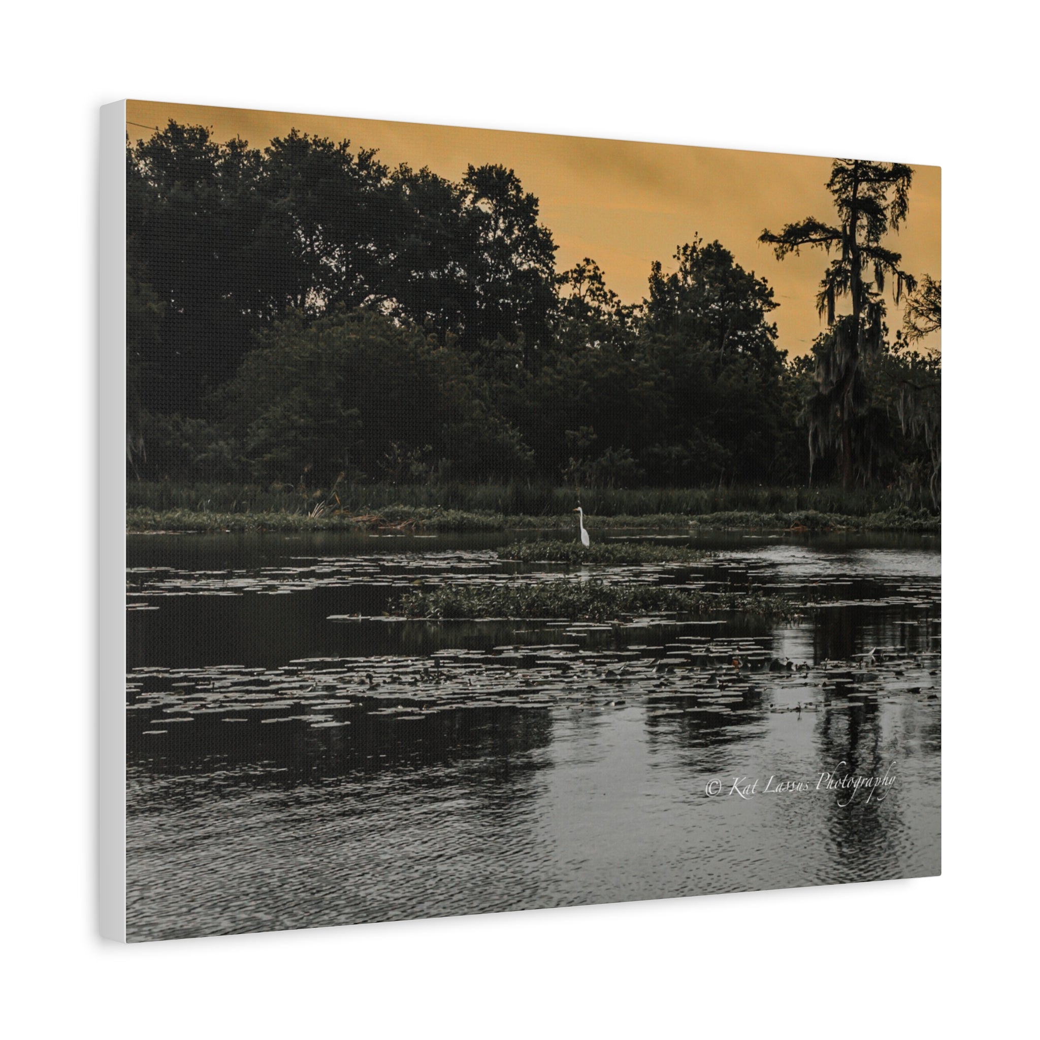 Angled view of Where the Heron Waits Louisiana nature photography canvas wall art.