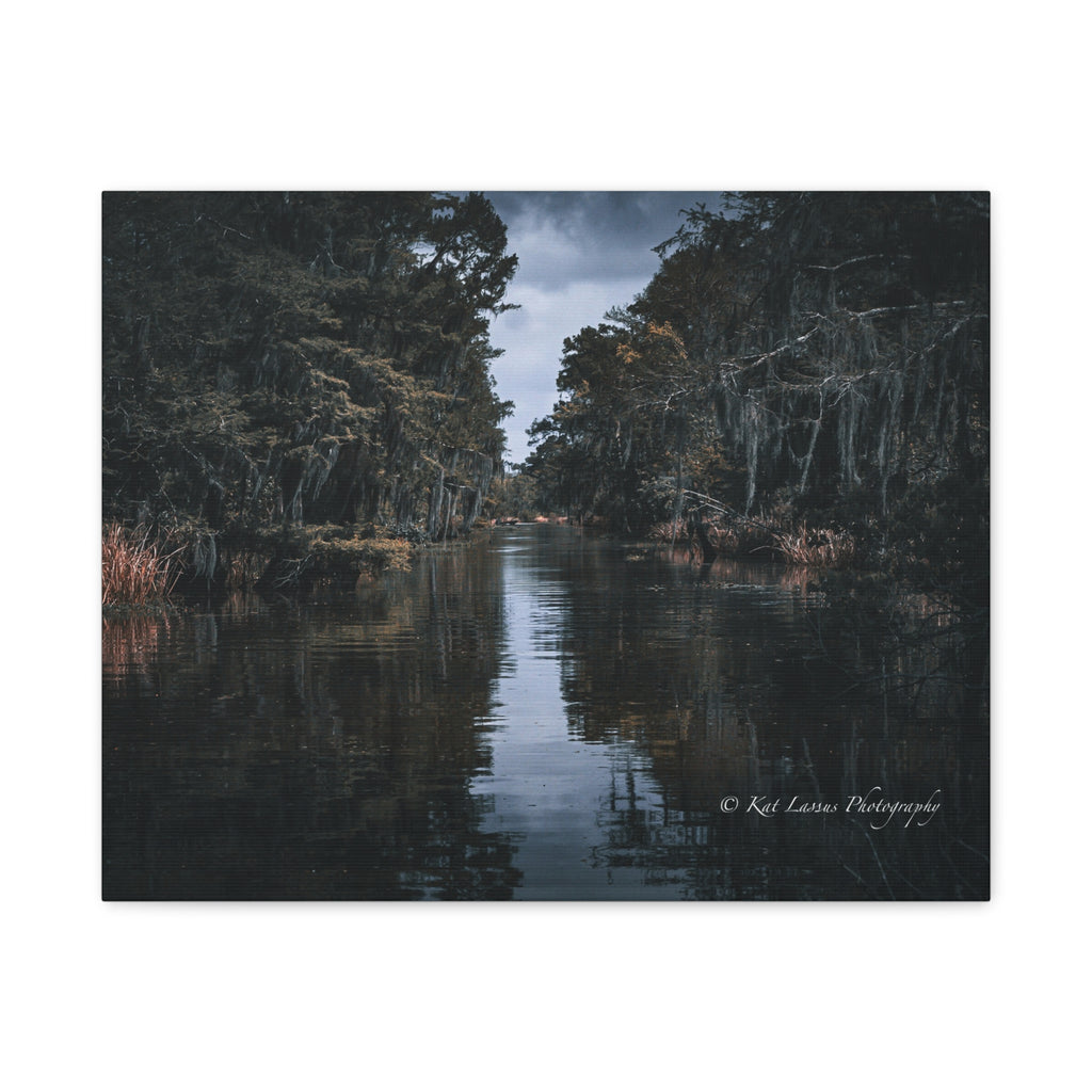 Veil of the Marsh Louisiana bayou photography printed on stretched canvas.