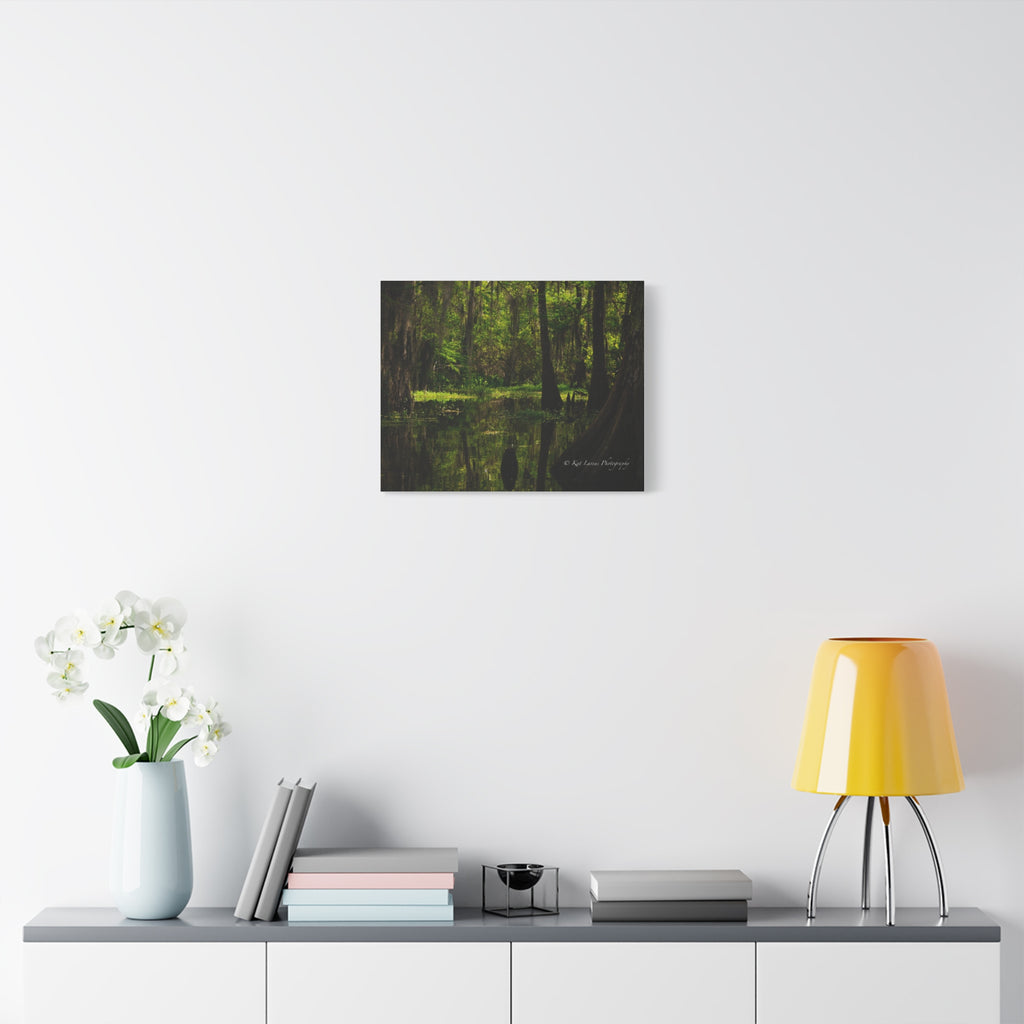 Cathedral of Moss Louisiana cypress swamp canvas displayed as nature wall art in a bright modern room.