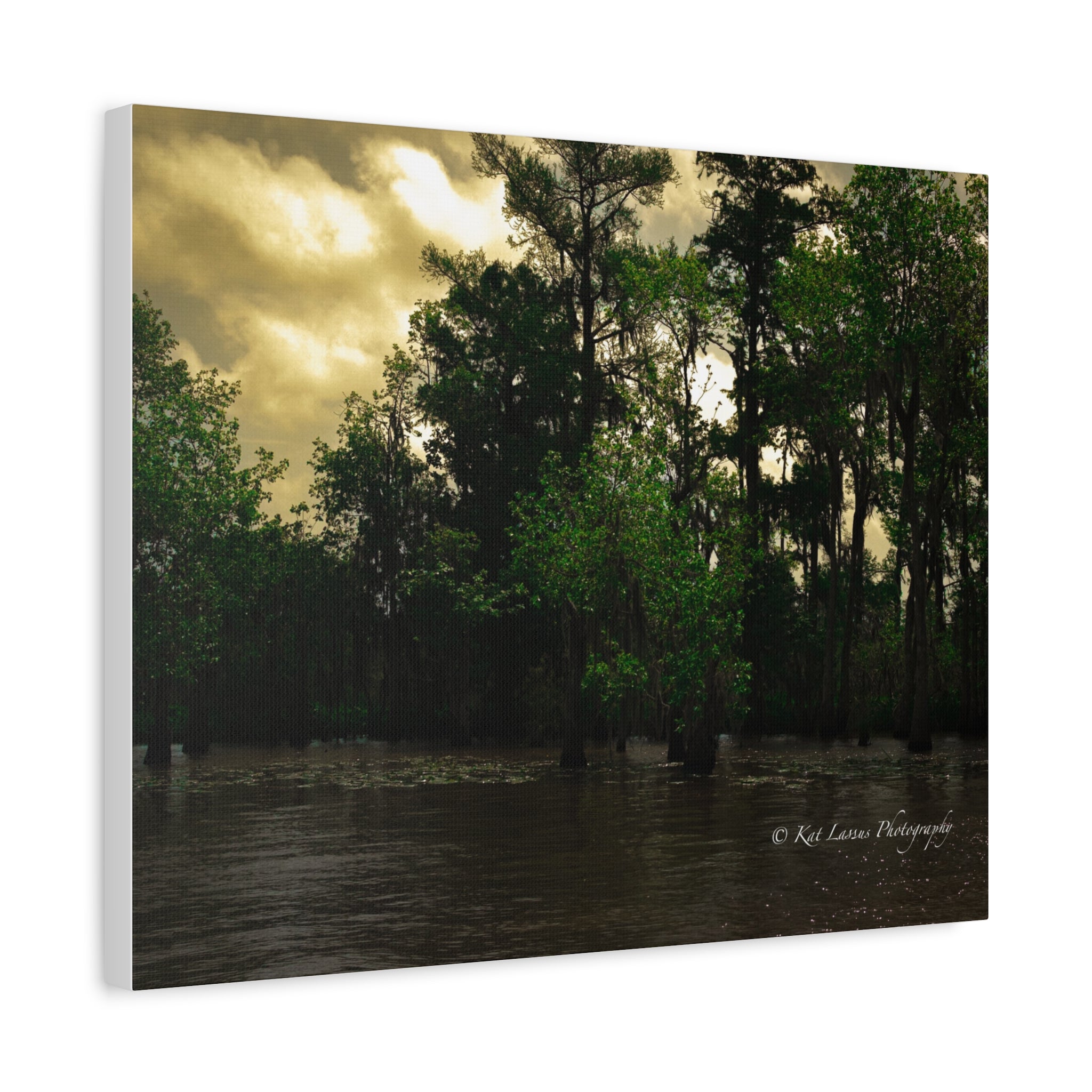 Shadows Over the Bayou stretched canvas wall art featuring a moody Louisiana bayou landscape, angled view.