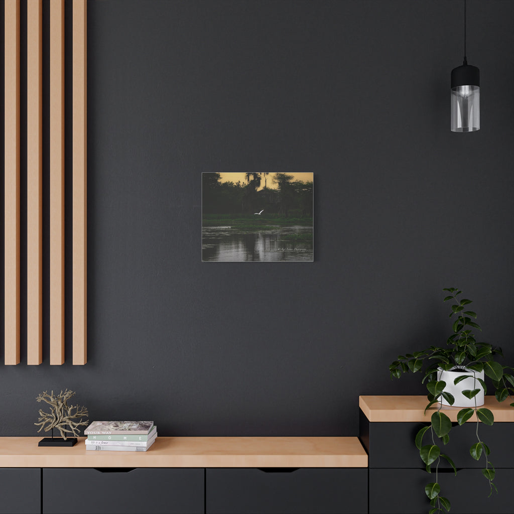 Silent Flight moody Louisiana bayou canvas wall art displayed in a dark modern interior.