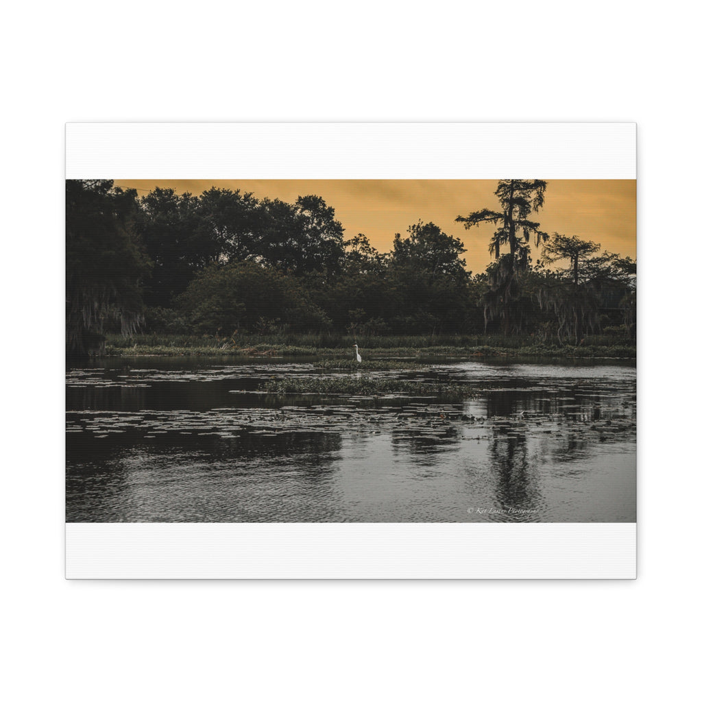 Where the Heron Waits