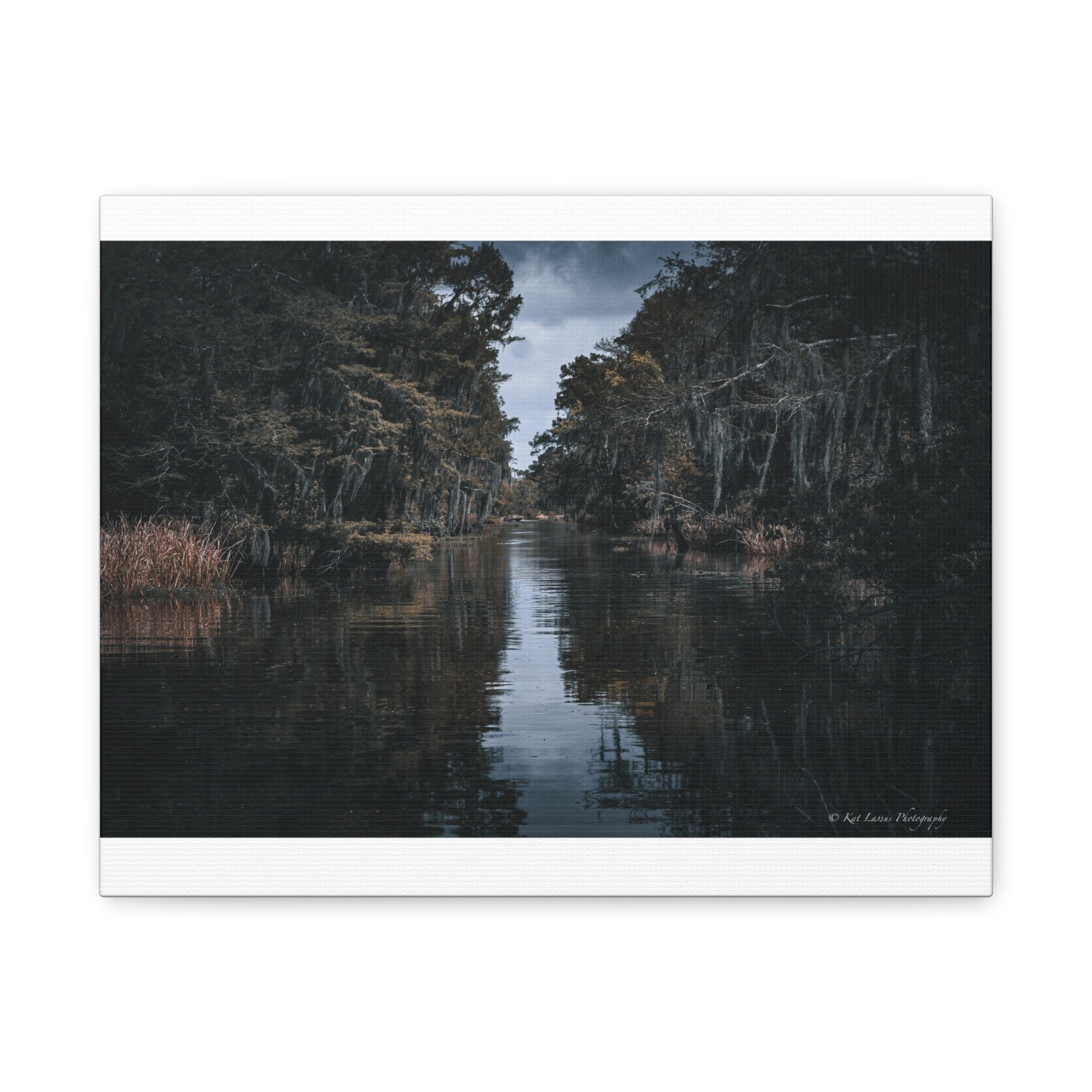 Veil of the Marsh