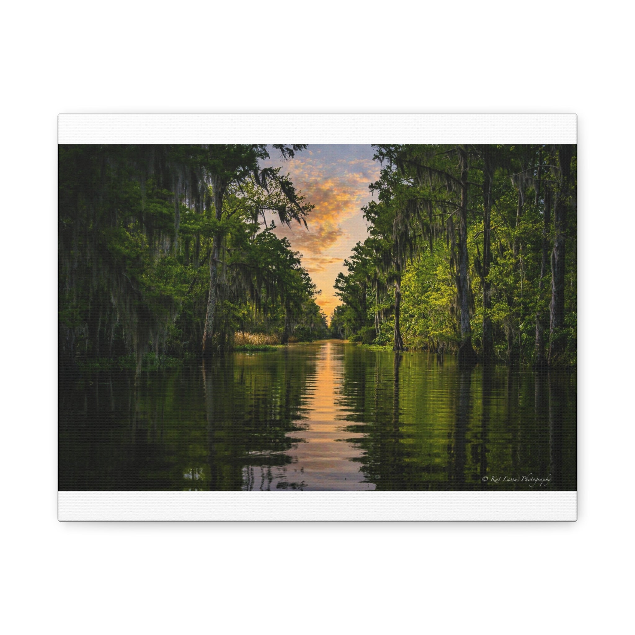 Whispers of the Bayou