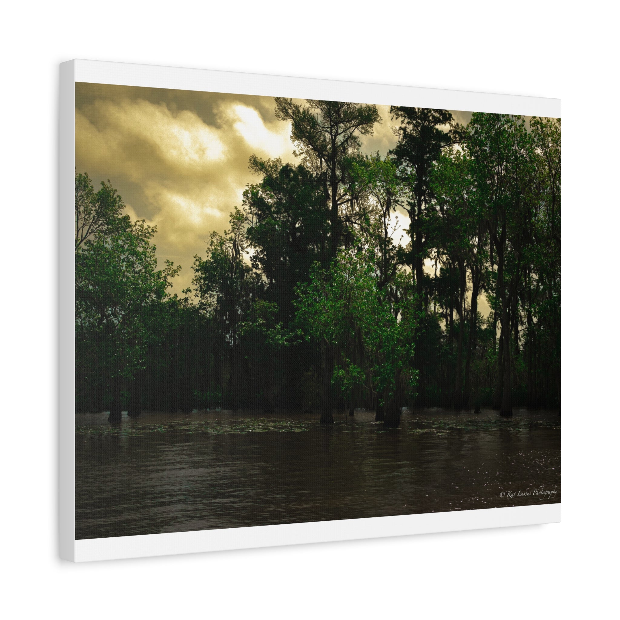 Shadows Over the Bayou