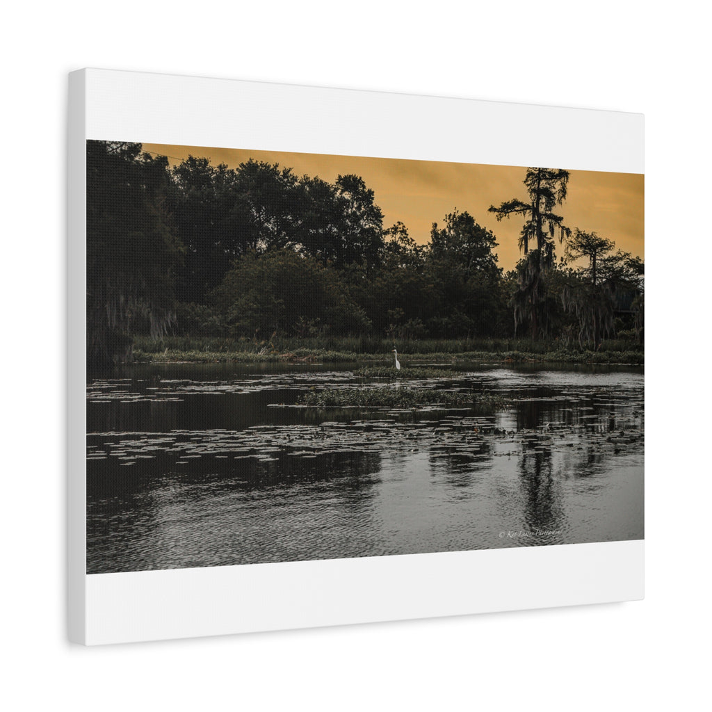 Where the Heron Waits