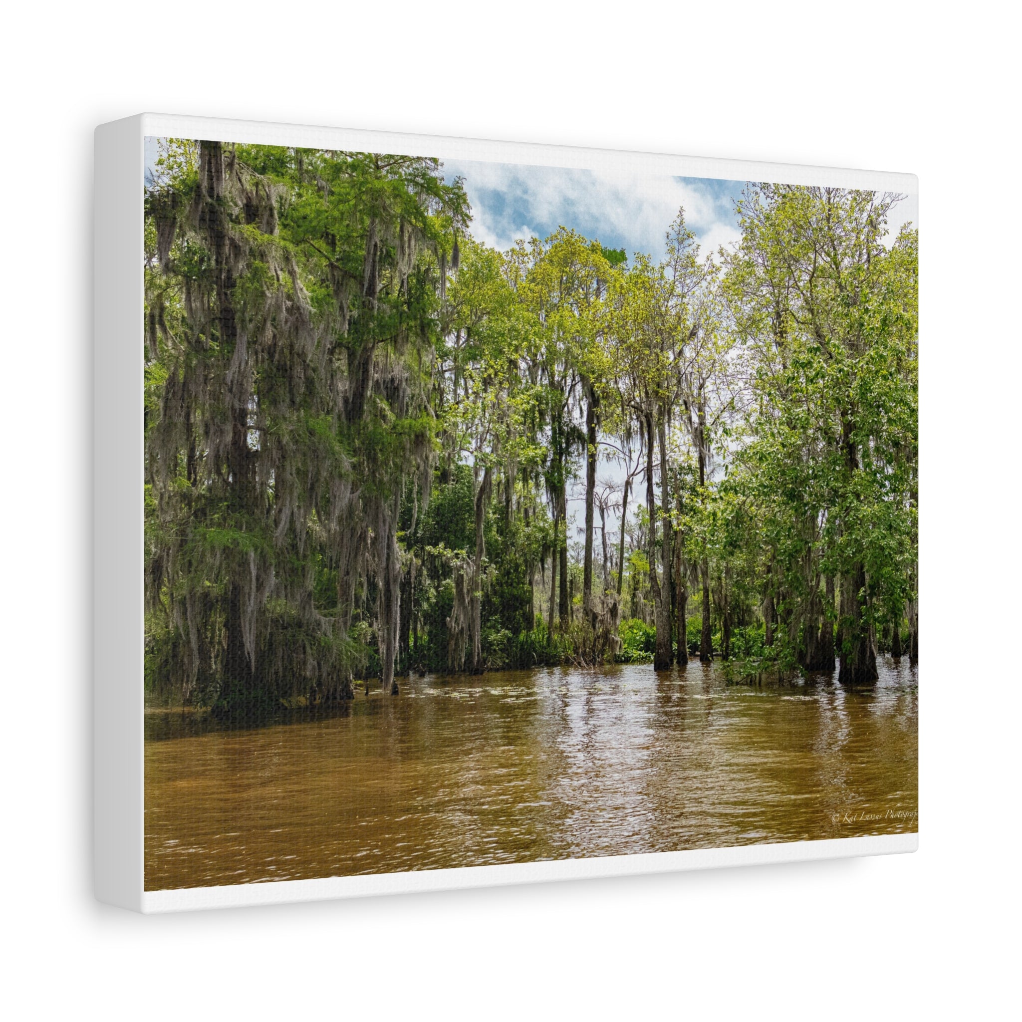 Still Water in the Bayou