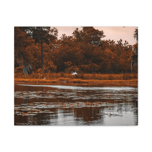 Heron in Amber Light Louisiana marsh photograph displayed as a matte canvas wall print.