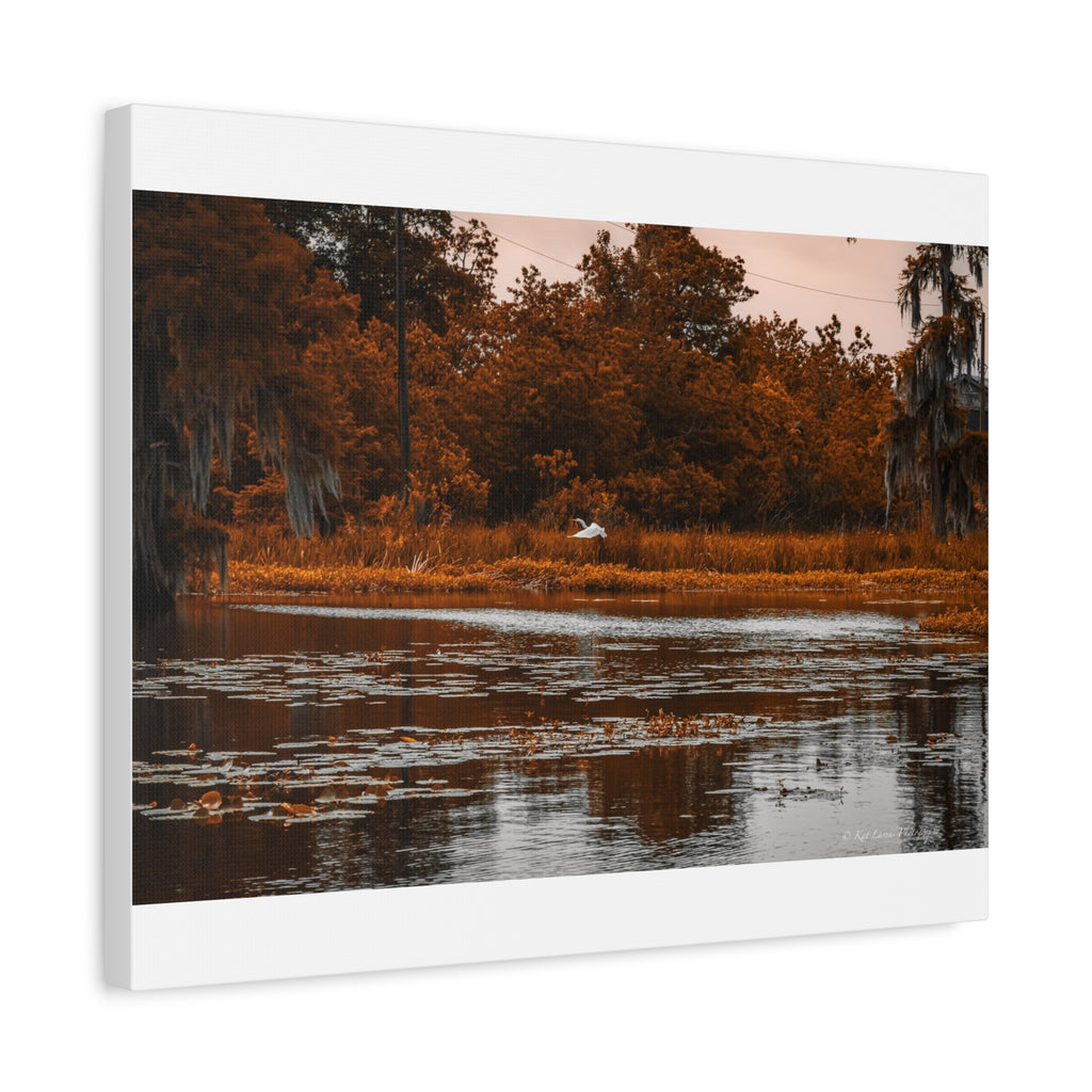 Heron in Amber Light