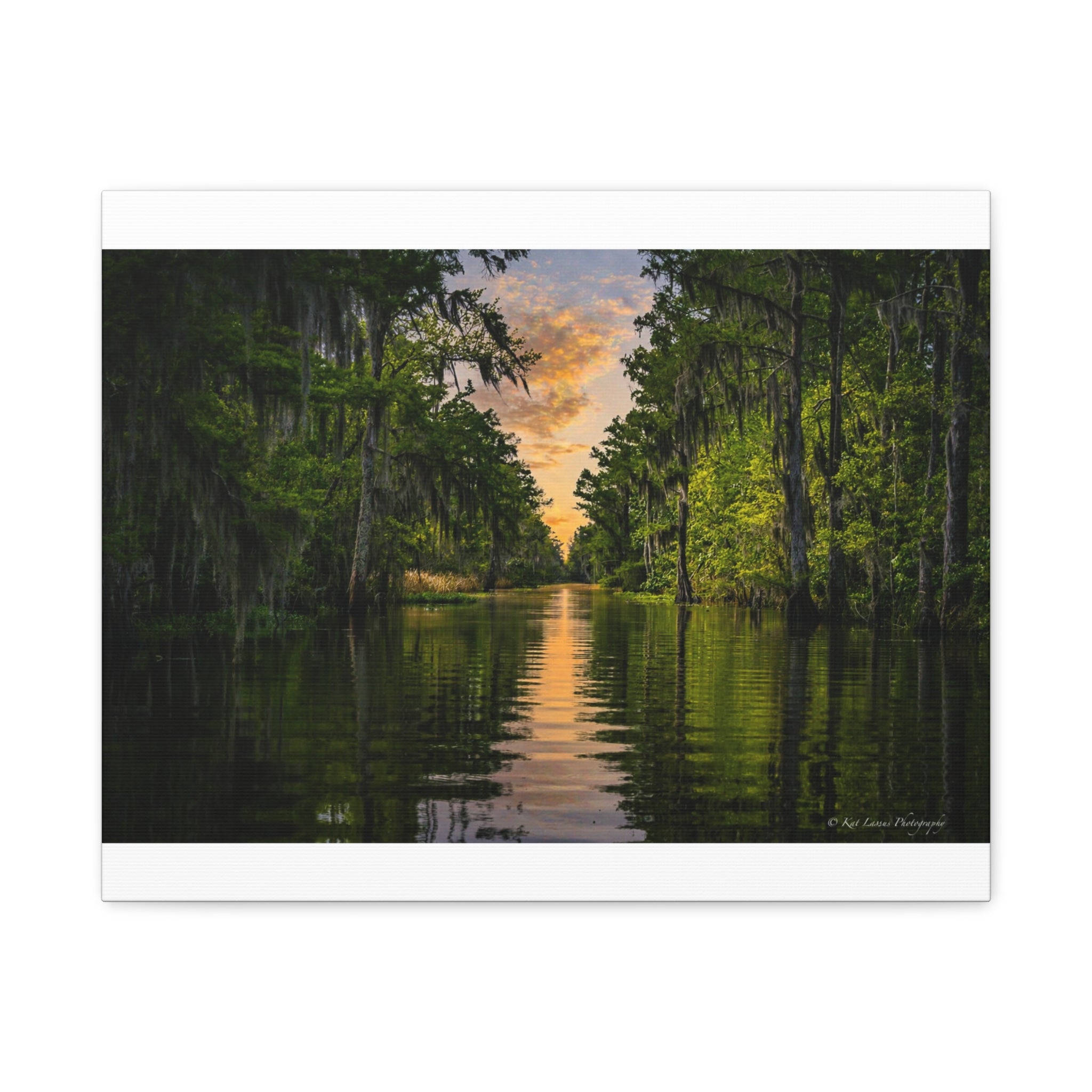 Whispers of the Bayou