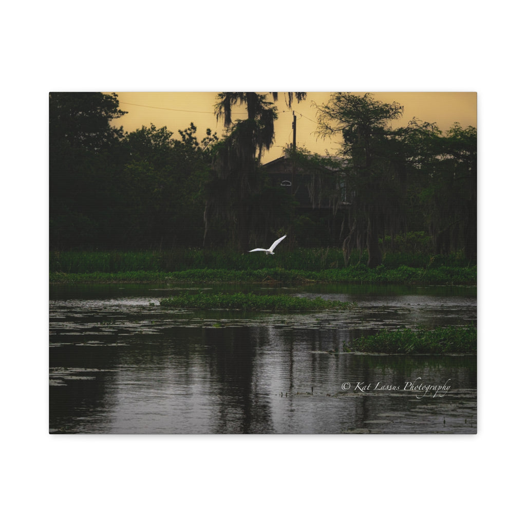 Silent Flight Louisiana bayou photography printed on horizontal canvas.