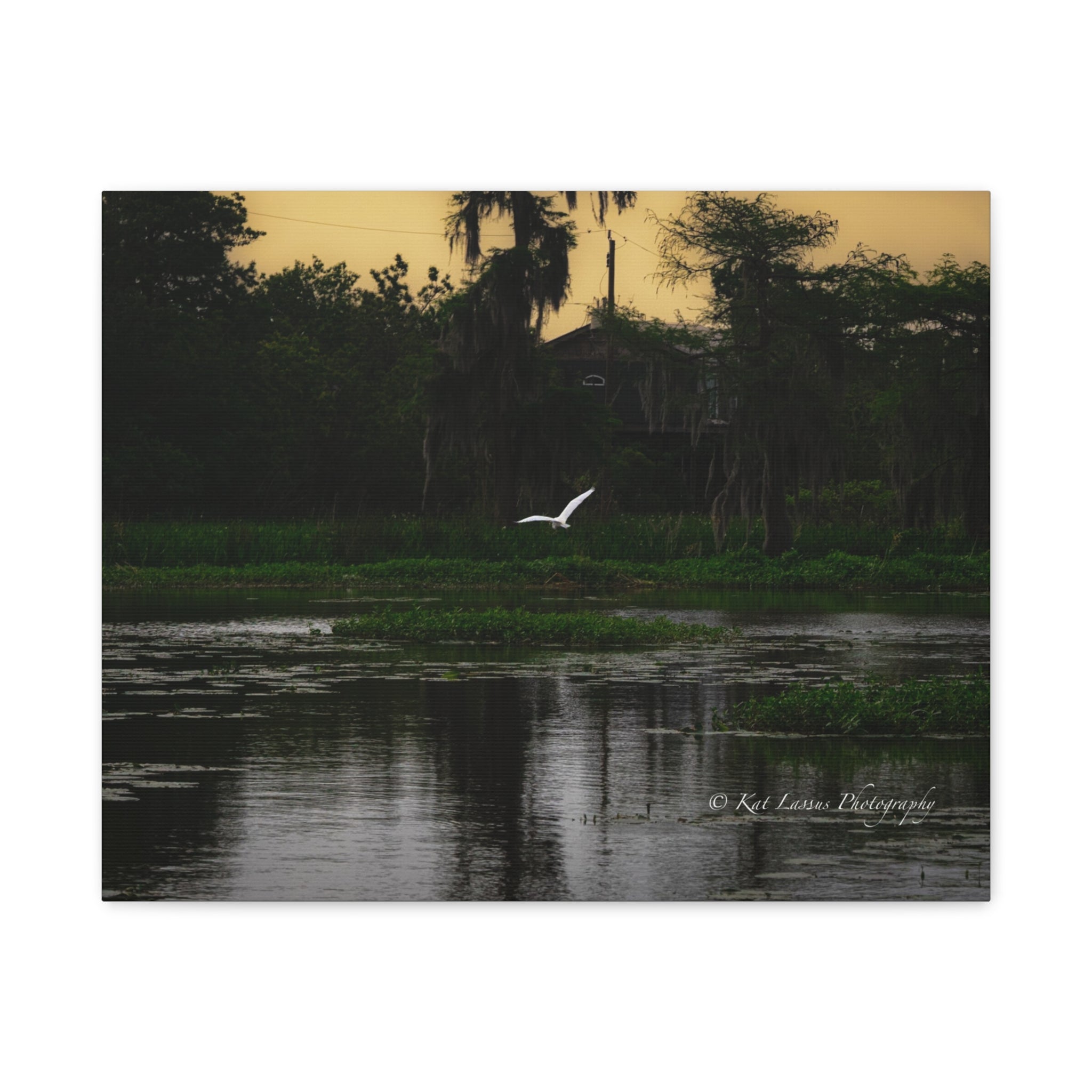 Silent Flight Louisiana bayou photography printed on horizontal canvas.