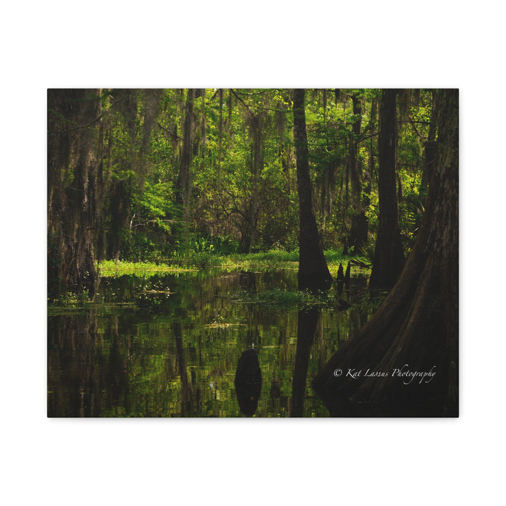 Cathedral of Moss Louisiana cypress swamp photography printed on horizontal stretched canvas.