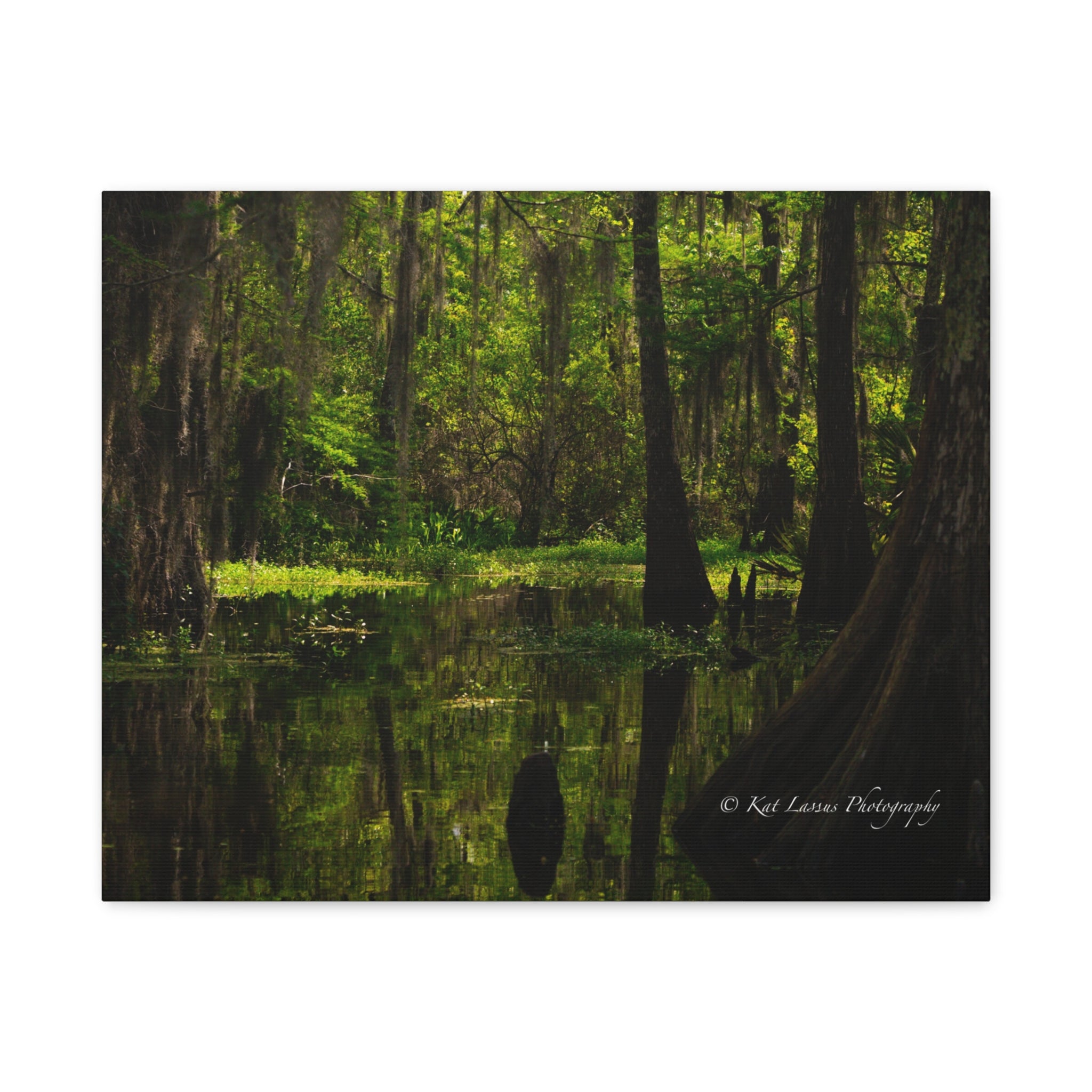 Cathedral of Moss Louisiana cypress swamp photography printed on horizontal stretched canvas.